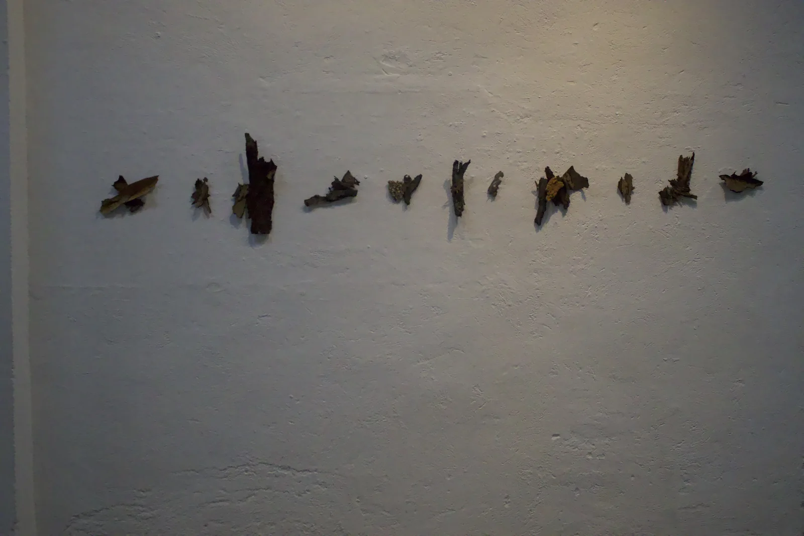 Nectar – ESPRONCEDA Art Prize