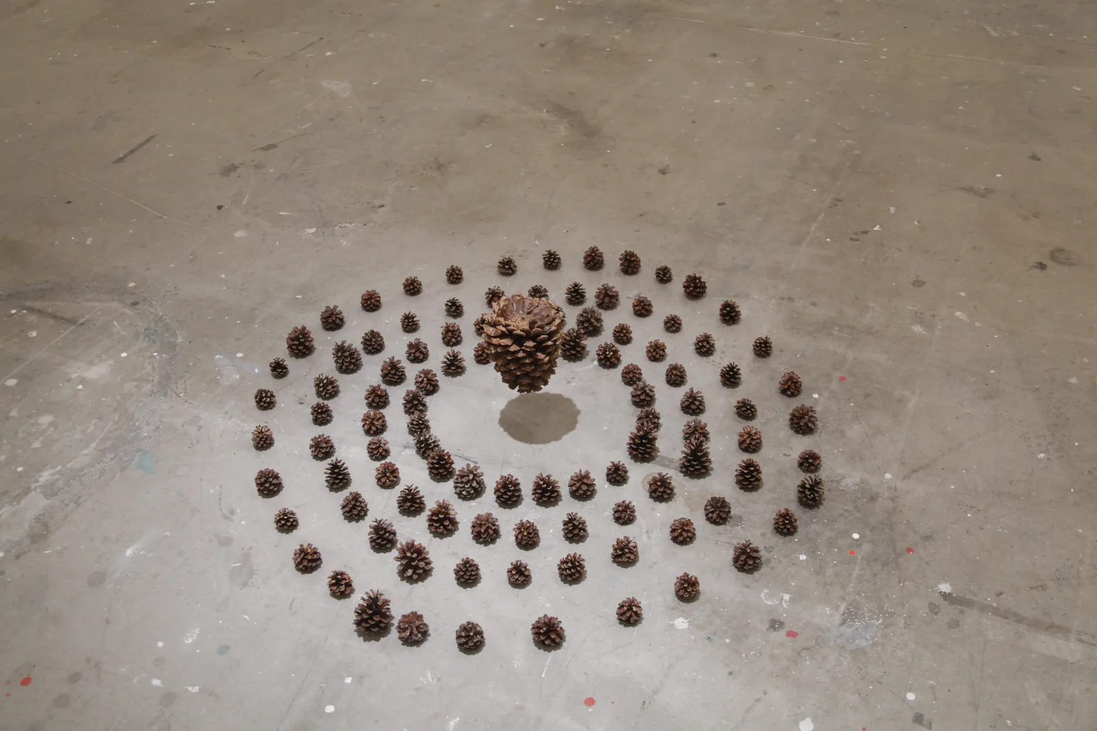 Nectar – ESPRONCEDA Art Prize