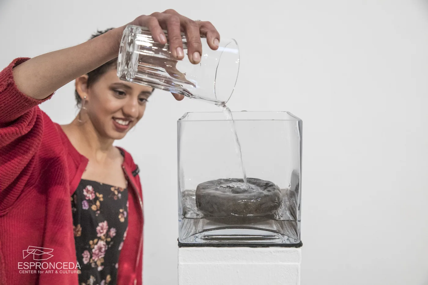 Vera Brant Prize, Brazil