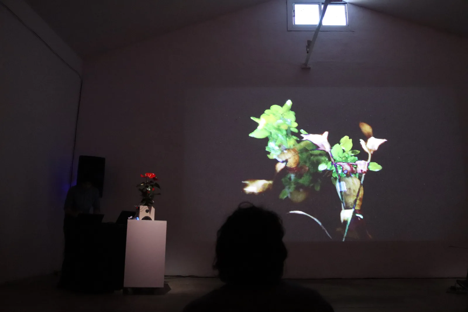 Simbiòtica, performance e instalación audiovisual de Pol Ros en Espronceda