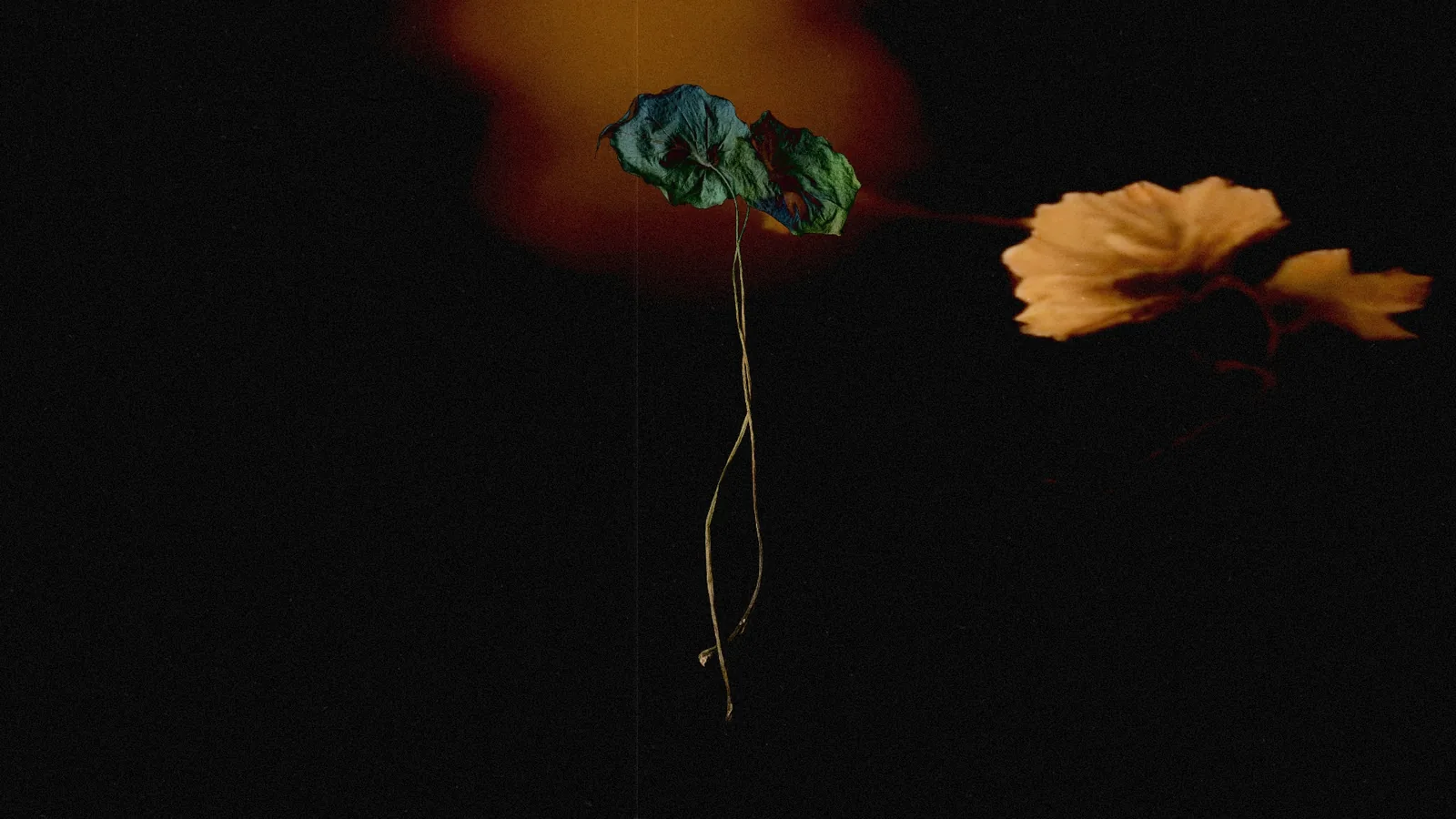 Simbiòtica, performance e instalación audiovisual de Pol Ros en Espronceda
