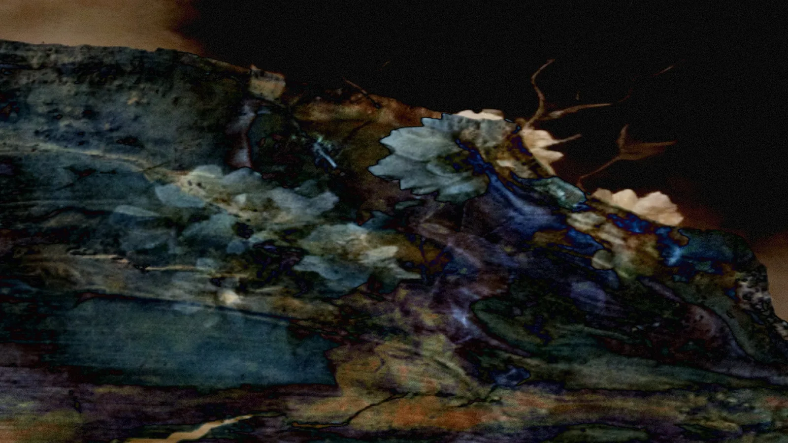 Simbiòtica, performance e instalación audiovisual de Pol Ros en Espronceda