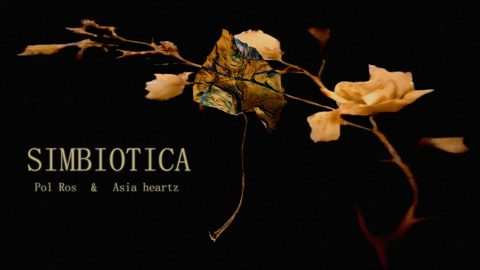 Simbiòtica, performance e instalación audiovisual de Pol Ros en Espronceda