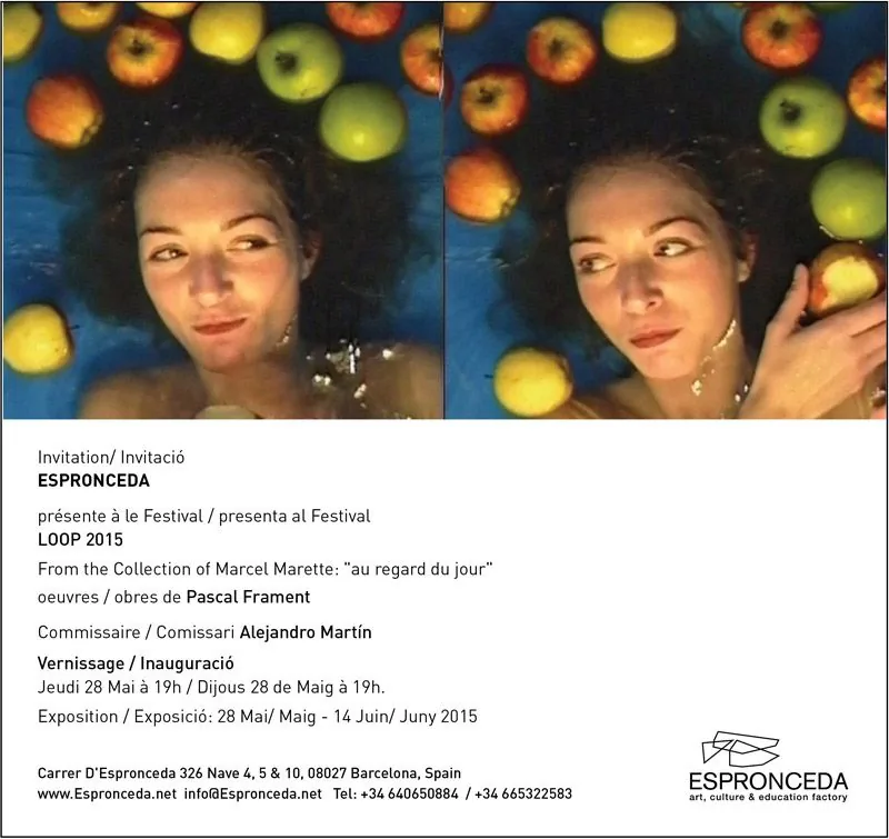 Vernissage: «au regard du jour» by Pascal Frament — Loop Festival 2015